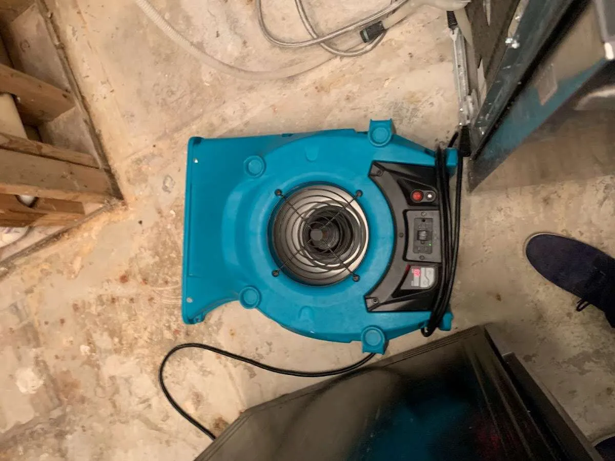 Air mover drying equipment for Mold Remediation & Removal in Rolla